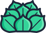 Feuille